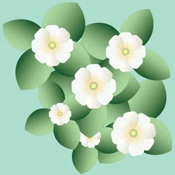 A group of white peony Stock Illustration
