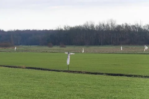A group of white plastic scarecrows in the middle of a grassy field, pasture Stock Photos