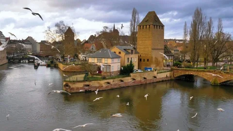 Group of white seagulls flying over Strasbourg canal at sunset with fortress Stock Footage 124480865