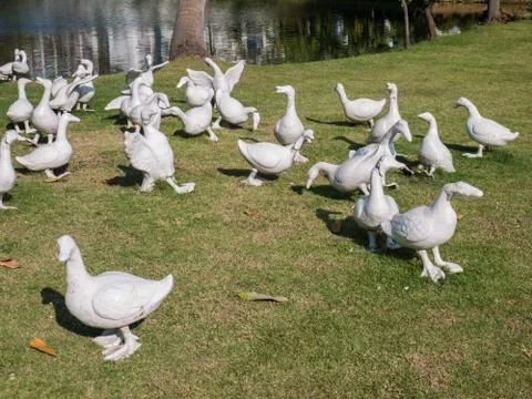 Group of white statue duck Stock Photos