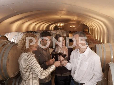Group Wine Tasting Stock Photos