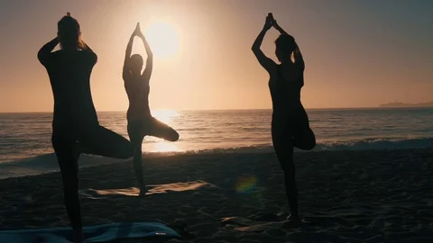 Group Of Women Practicing Yoga Video stock 77585359
