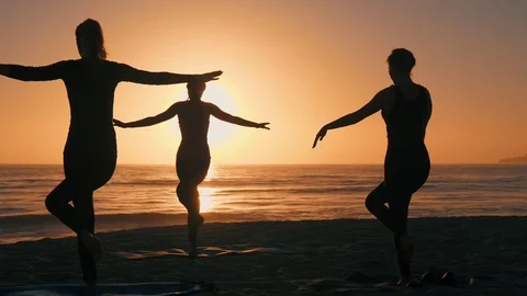 Group Of Women Practicing Yoga Stock-Footage 77585481