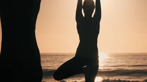 Group Of Women Practicing Yoga 스톡 동영상 77585546