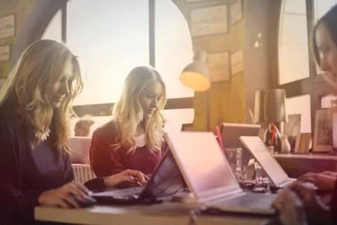 Group work Stock Photos