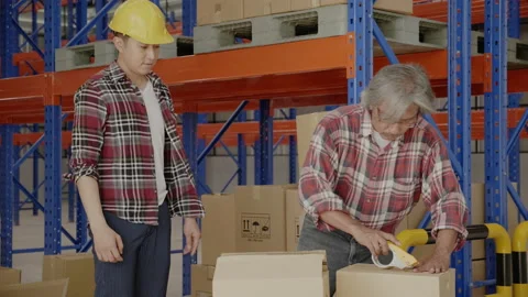Group of workers are active packing boxes in warehouse for logistics Stock Footage 159533232