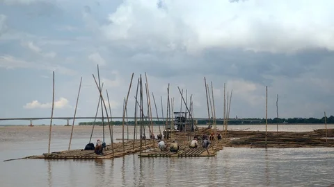 Group of workers building structural elements of the future bamboo bridge.  Stock Footage 112683408