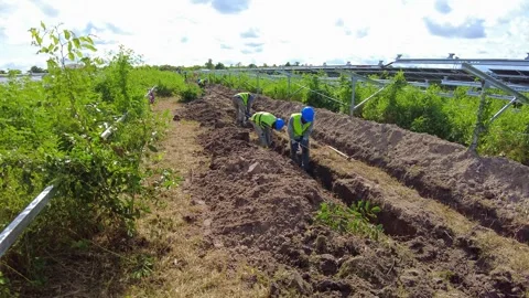 Group of workers manually digging trenches, shoveling dirt at a solar farm 스톡 동영상 332734371