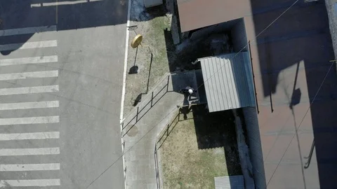 A group of workers passes through the plant Video stock 97187700