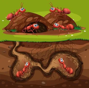 A Group of Working Ants in Hole Stock Illustration