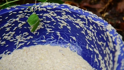 Group Worm fly moving. Stock-Footage 128275583