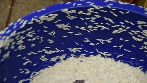 Group Worm fly moving. Stock-Footage 128275597