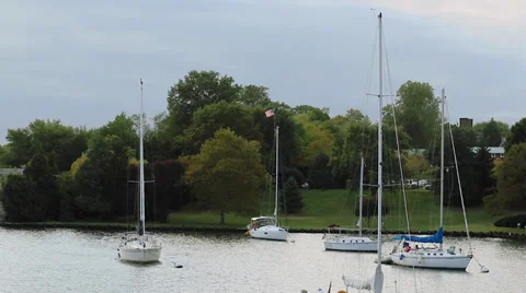 Group of Yachts on Water Stock Footage 36030868