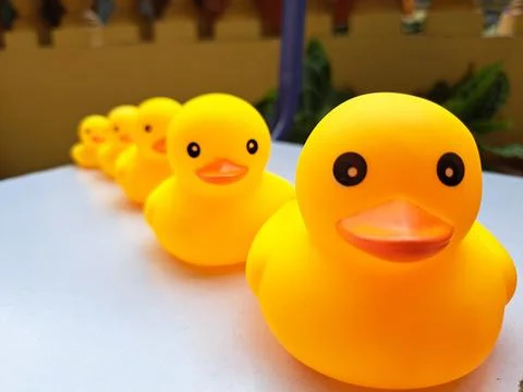 Group of yellow rubber ducks arranged in a line on white table Stock Photos