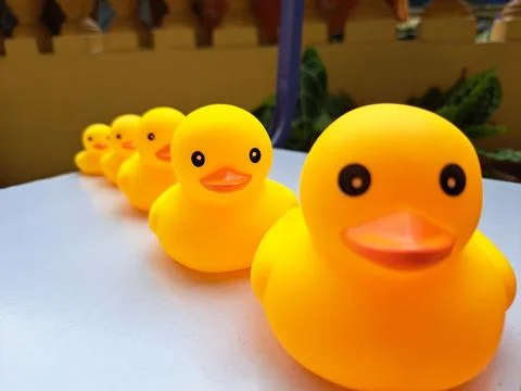 Group of yellow rubber ducks arranged in a line on white table Stock Photos