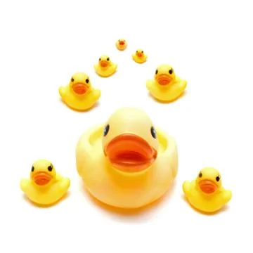Group a yellow rubber ducks isolated on white background Stock Photos