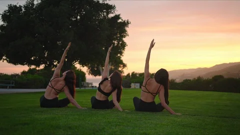 Group yoga session at park Stock Footage 129999406