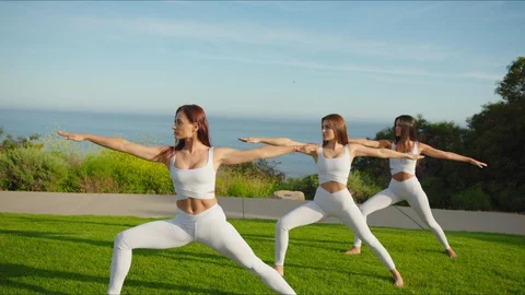 Group yoga session at park with view on an ocean Stock Footage 129998192
