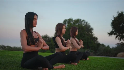 Group yoga session at park with view on an ocean Stock Footage 129999435
