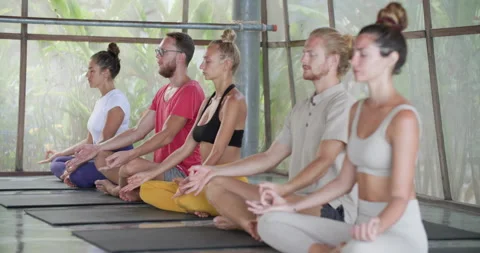 Group of young caucasian practicing yoga meditation together. Vidéo 201011122
