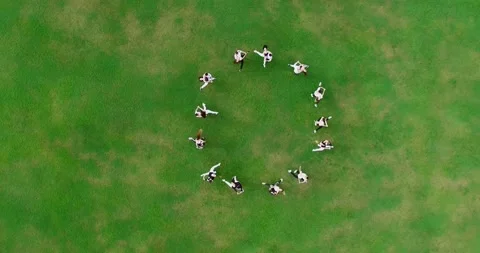 A group of young dancers dancing bachata on a large green lawn. The dancers are Stock Footage 139128011