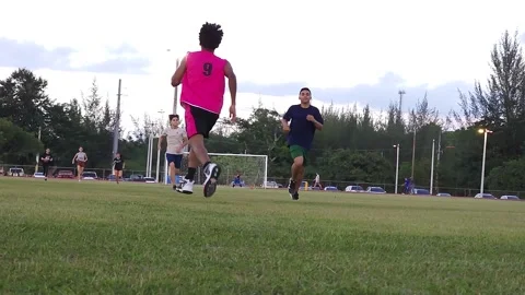 Group of Young Kids Running in the Grass Doing Workouts Drills Stock Footage 219658891