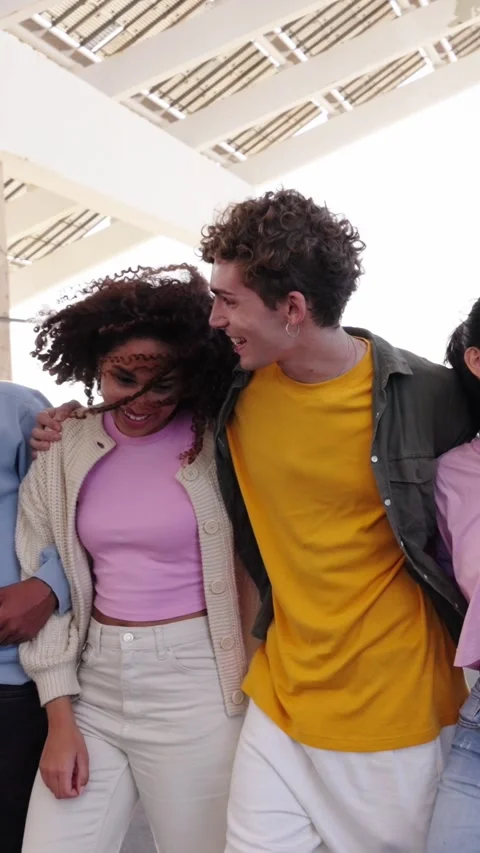 A group of young multi-ethnic friends embracing sharing a fun leisure time while Stock Footage 269243575