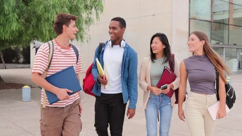Group of young multiracial high school students walking and talking together Vidéo 263704080