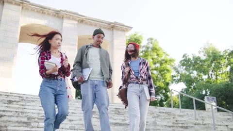 Group of young multiracial students friends walking down outdoor steps near Stock Footage 303250622