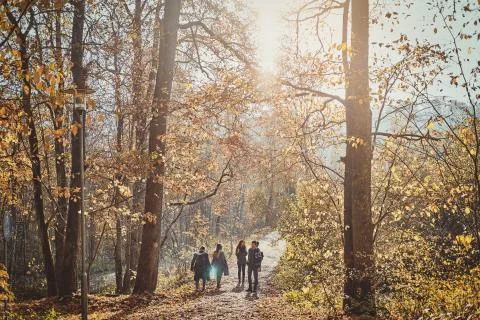 Group of young people are walking at the forest Stock Photos