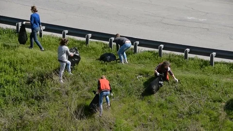 Group of young people cleaning garbage, waste paper and old dry grass in city. Stock Footage 75391397