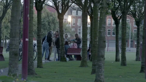Group of Young People Hanging Out on Park Bench Stock Footage 343984930