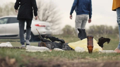 Group young people leaving garbage, bottles and uninspired fire after picnic Stock Footage 91358111