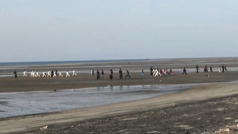 A group of young people practices martial arts while Kawangu Beach Stock Footage 287057547