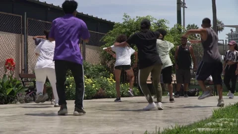 A group of young people practicing on the park a local dance Video stock 201263913