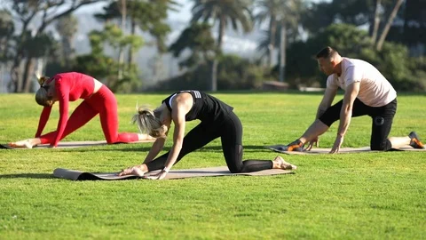Group of young people practicing yoga on the seaside during the day. Green Grass Stock-Footage 110853685