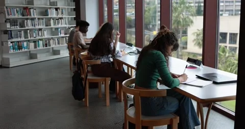 Group of young students learing together inside school library Stock Footage 203720221