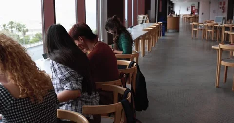 Group of young students learing together inside school library Stock Footage 203721071