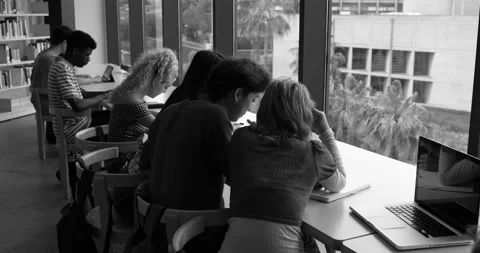 Group of young students learing together inside school library Stock Footage 203721646