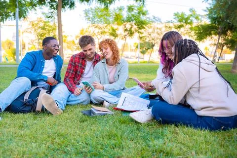 Group Young students using notebook together while sitting on grass outdoors Stock Photos