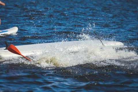 Group of young sup surfers fall from SUP stand up paddle board, women drownin 스톡 사진