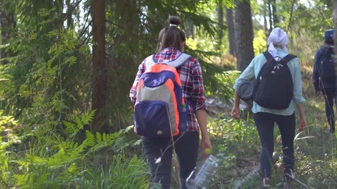 A group of young tourists walks along the forest trail 4K Stock Footage 96885953