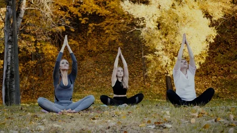 Group of young yoga practitioners doing yoga exercises in park. Women meditate Vídeos de archivo 97336323