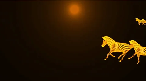 A group of zebra running in dusk. Stock Footage 28847862