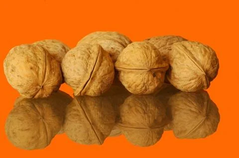 Groupe of nuts Foto stock