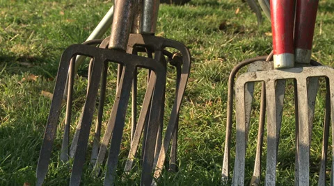 A grouping of gardening tools Video stock 33847490