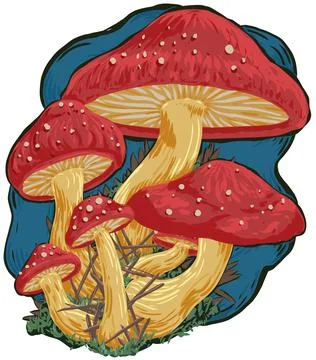 Grouping of Toadstools, Clump of Mushrooms Vector Illustration 스톡 일러스트