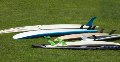 Grouping of various surfboards laying on the grass at a coastal park Stock Photos