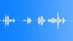 Groups American Indians Flute Shaman Bird Call ChirpsSound Effect