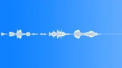 Groups American Indians Flute Shaman Bird Call TootsSound Effect